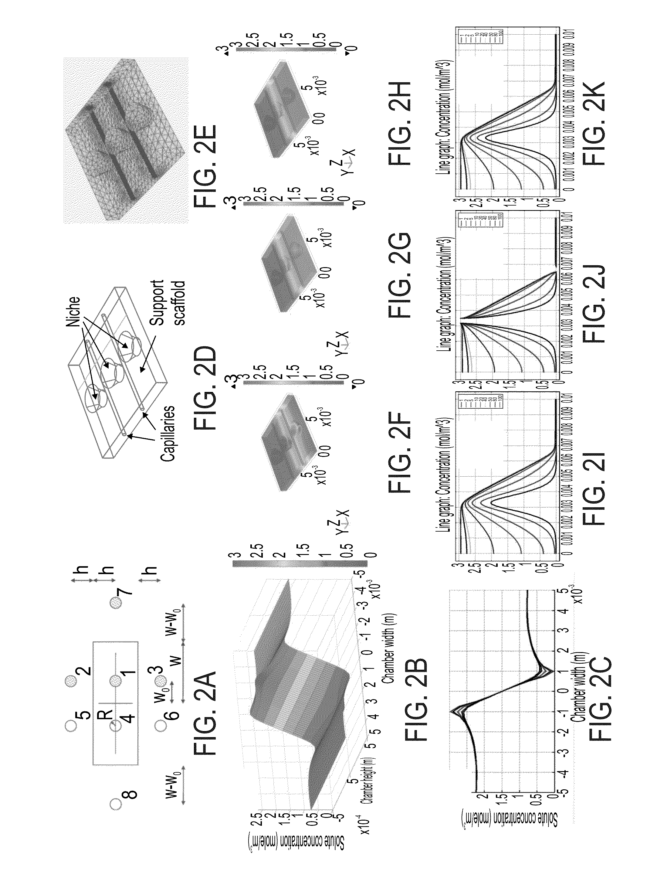 Niche system for biological culturing