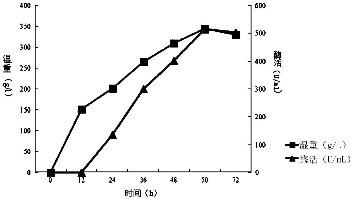 A kind of sucrose isomerase mutant and its application