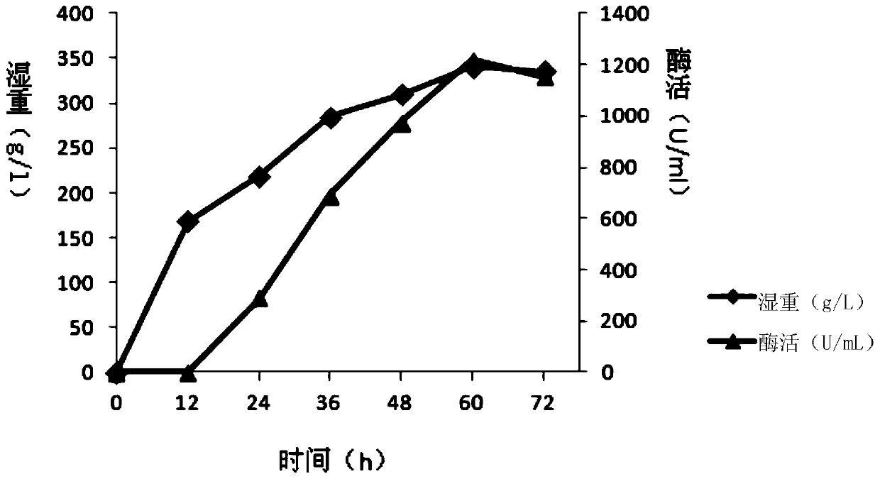 A kind of sucrose isomerase mutant and its application