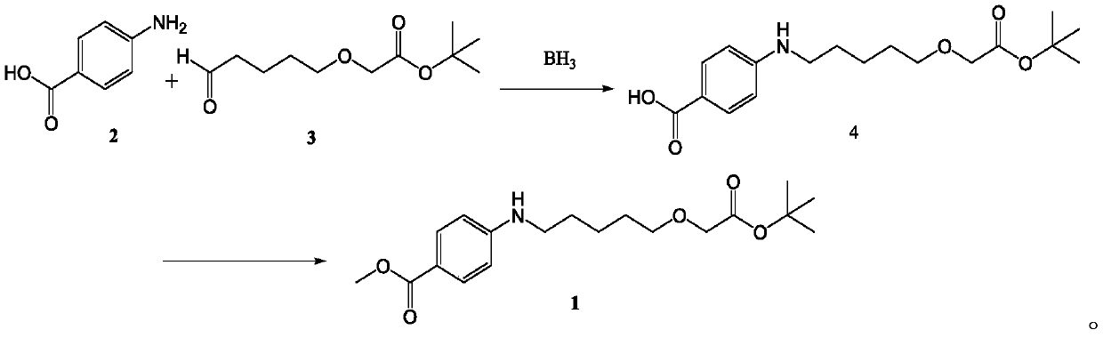 Preparation method for ARV-110 intermediate