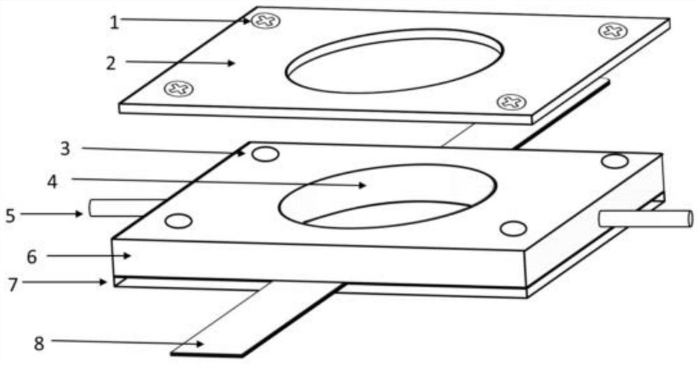 In-situ microscopic imaging device for metal negative electrode battery