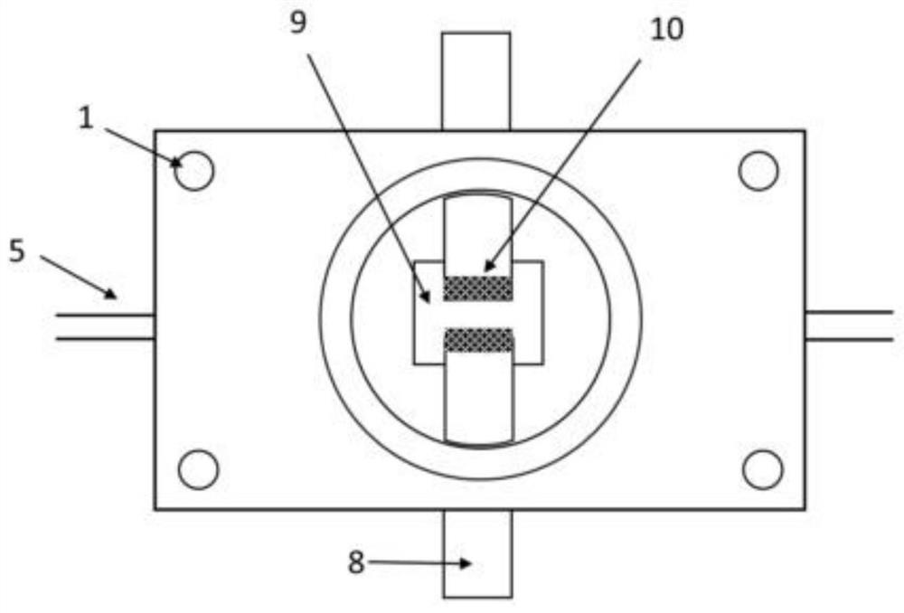 In-situ microscopic imaging device for metal negative electrode battery