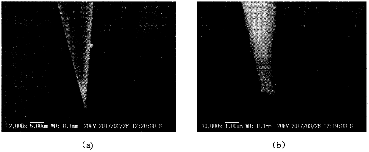 Method for preparing nodular micro-nano metal cone through electricity chemistry corrosion