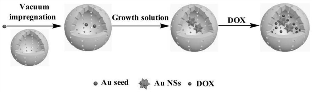 A Venus core/hollow silicon shell drug-loaded nano-platform and its preparation and application