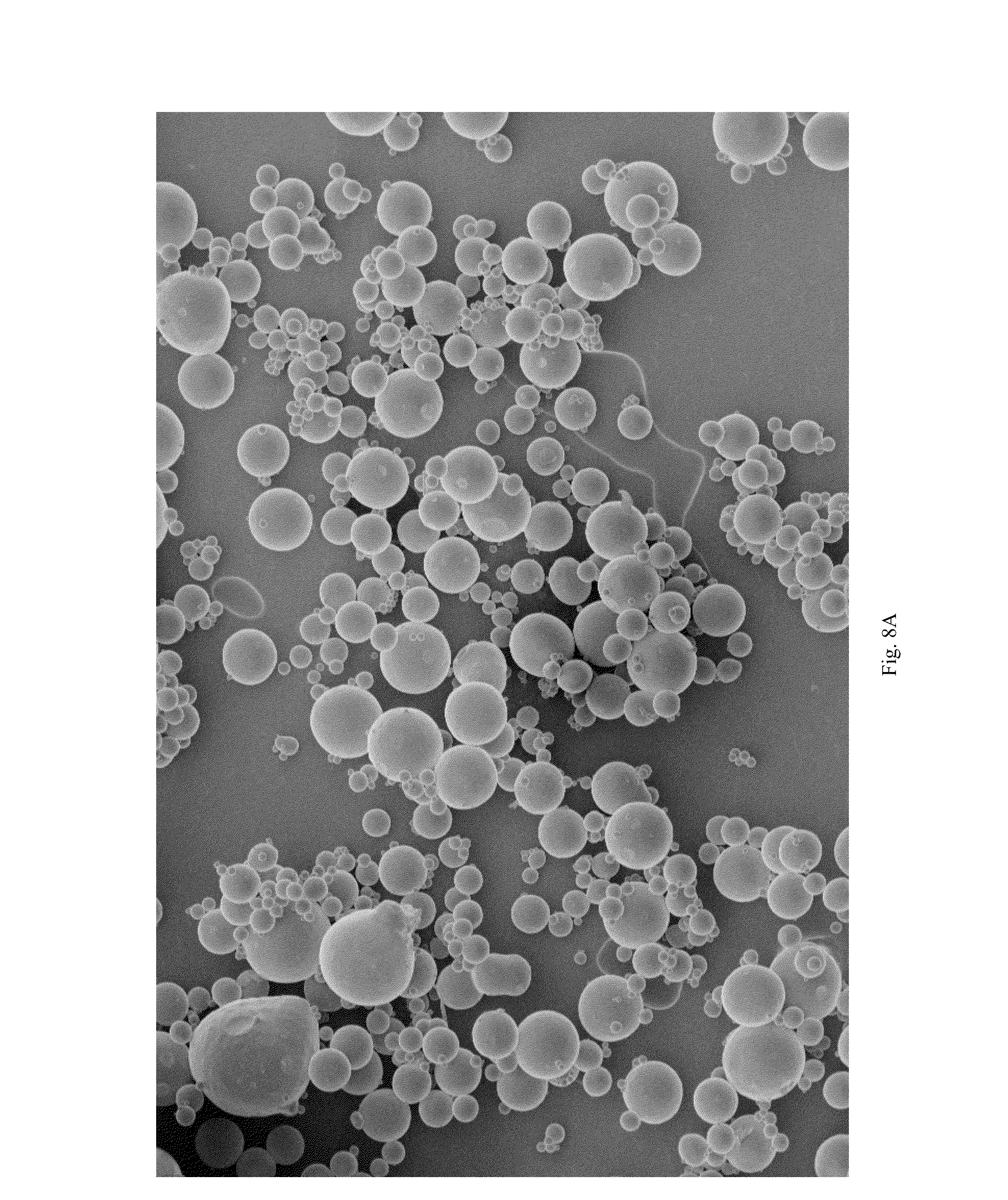 Microspheres Including Oxidized Cellulose