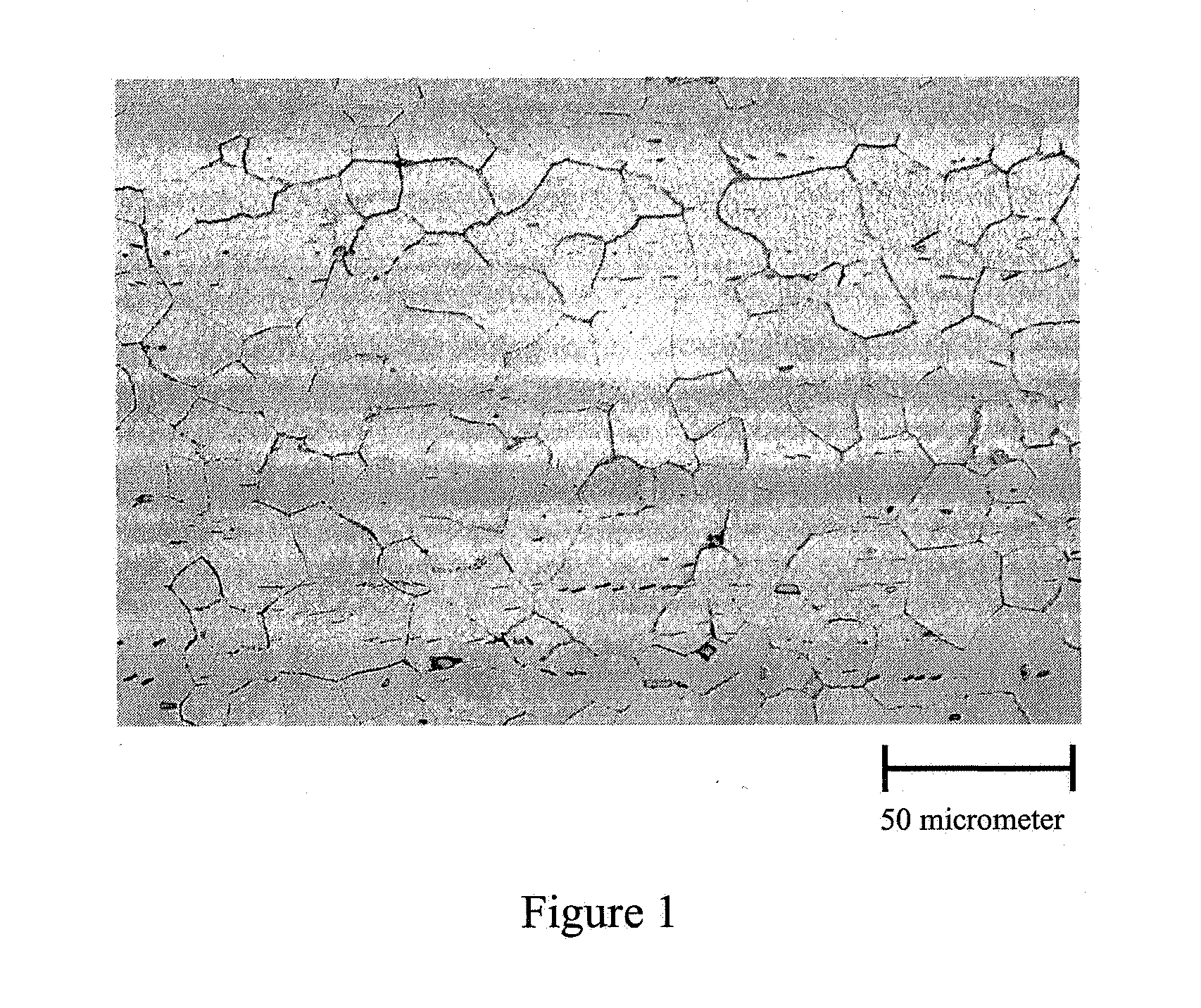 Process for manufacturing magnesium alloy based products