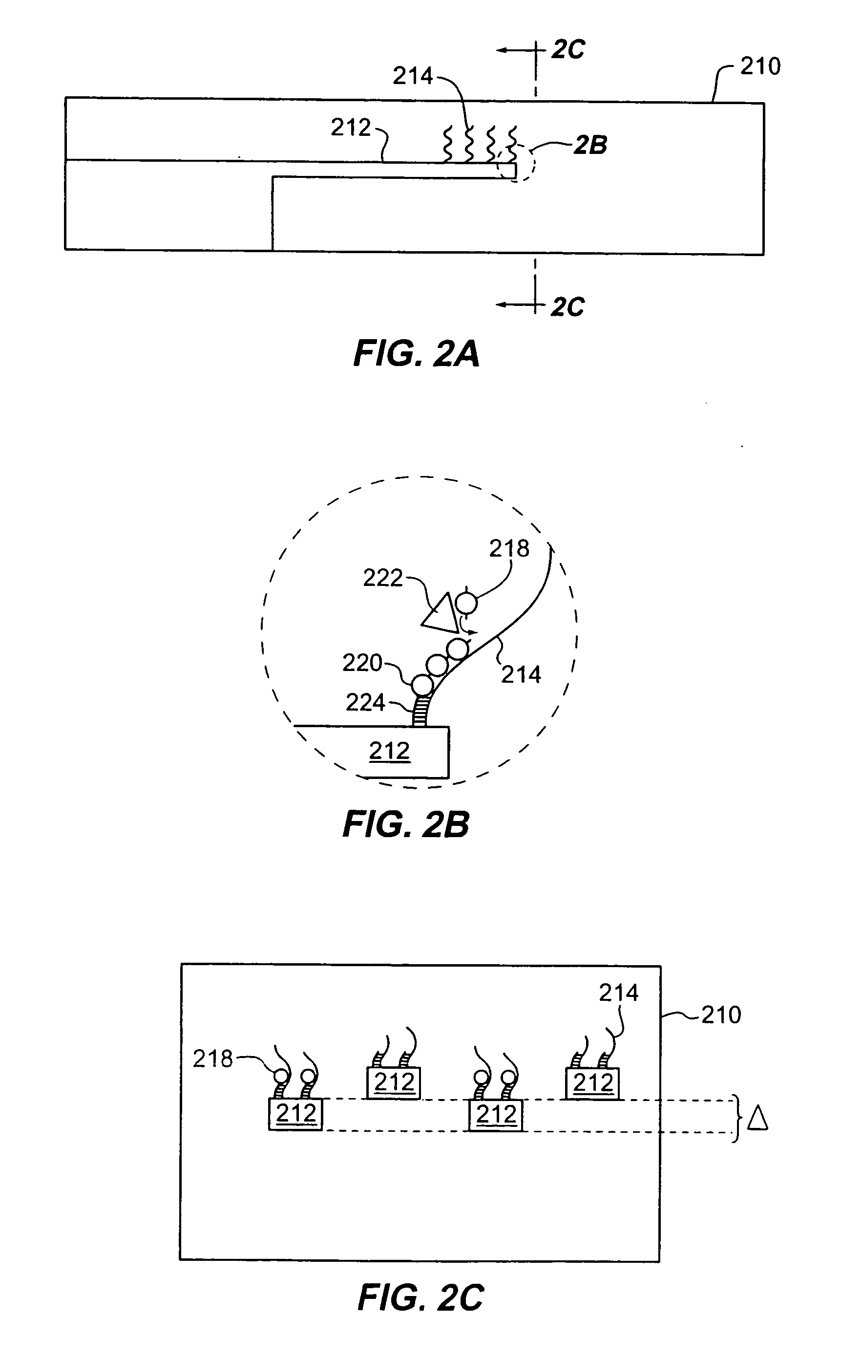 Method for sequencing nucleic acids by observing the uptake of nucleotides modified with bulky groups