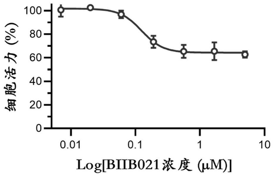 Application of BIIB021 in preparation of medicine for preventing and/or treating adenovirus infection