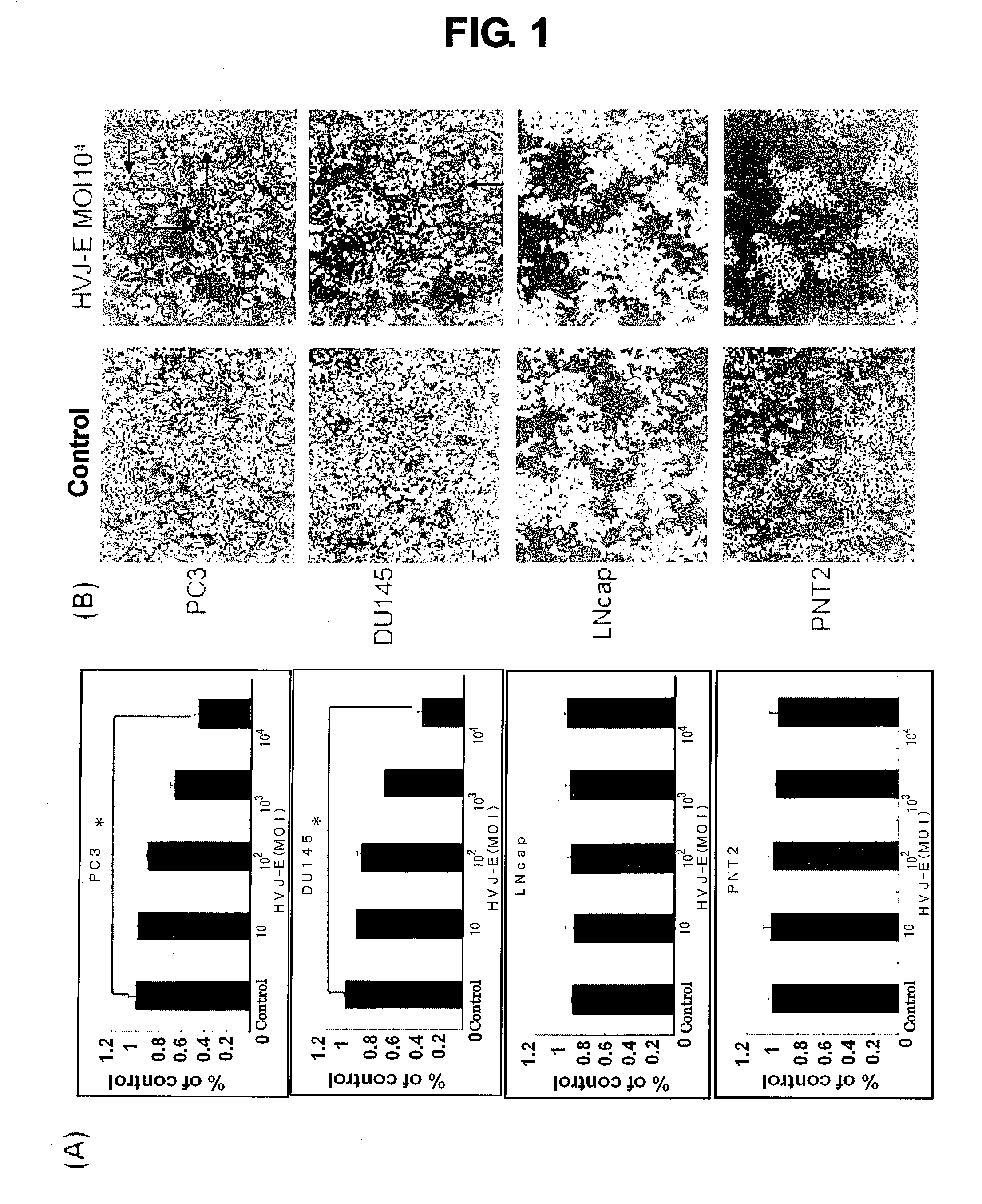 Therapeutic/prophylactic agent for prostate cancer