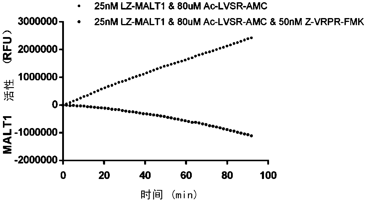 Application of malt1 targeting inhibitor in the preparation of malt1-dependent tumor therapy drugs