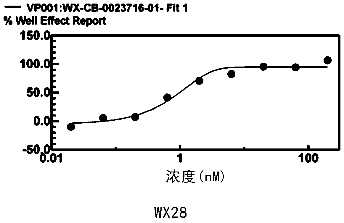 Application of malt1 targeting inhibitor in the preparation of malt1-dependent tumor therapy drugs