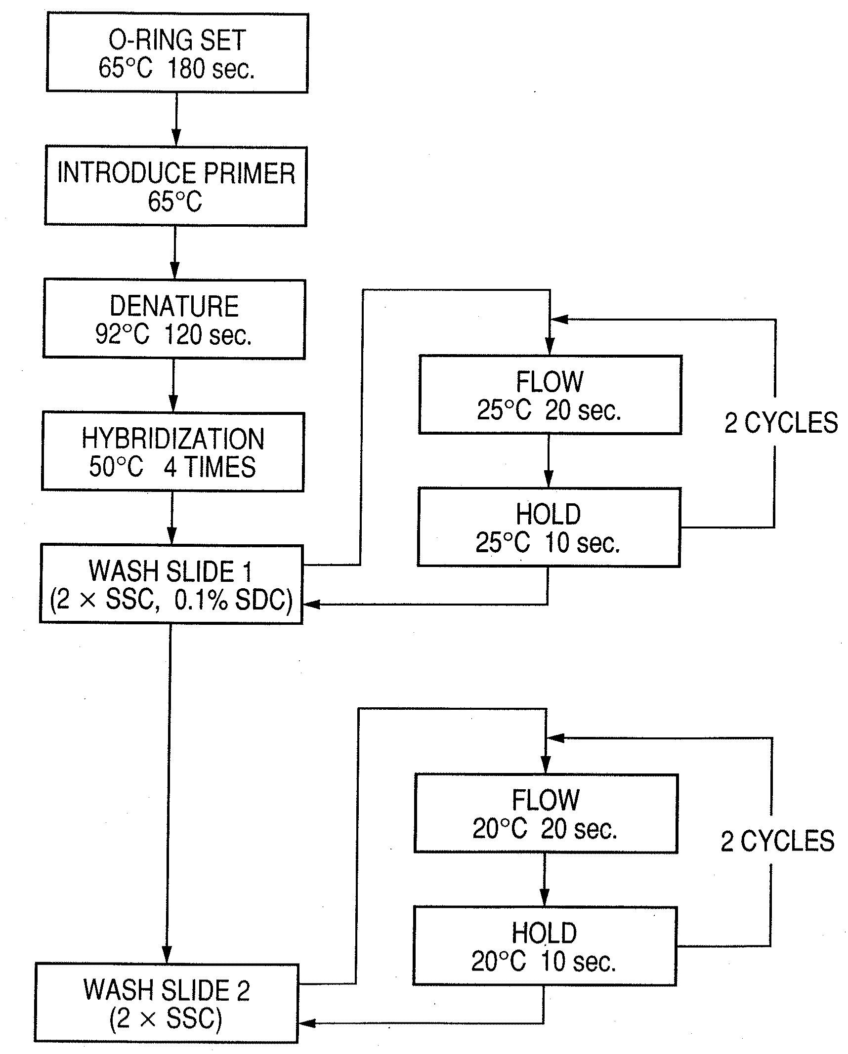 Probe, probe set, probe carrier, and testing method