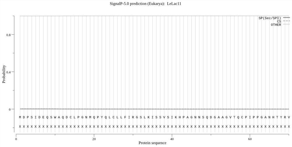 Lentinus edodes laccase LeLac11 and application thereof in improvement of stress tolerance of microorganisms