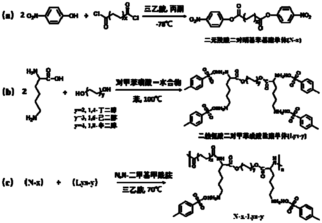 Lysine-based polyesteramide nano drug delivery system as well as preparation method and application thereof