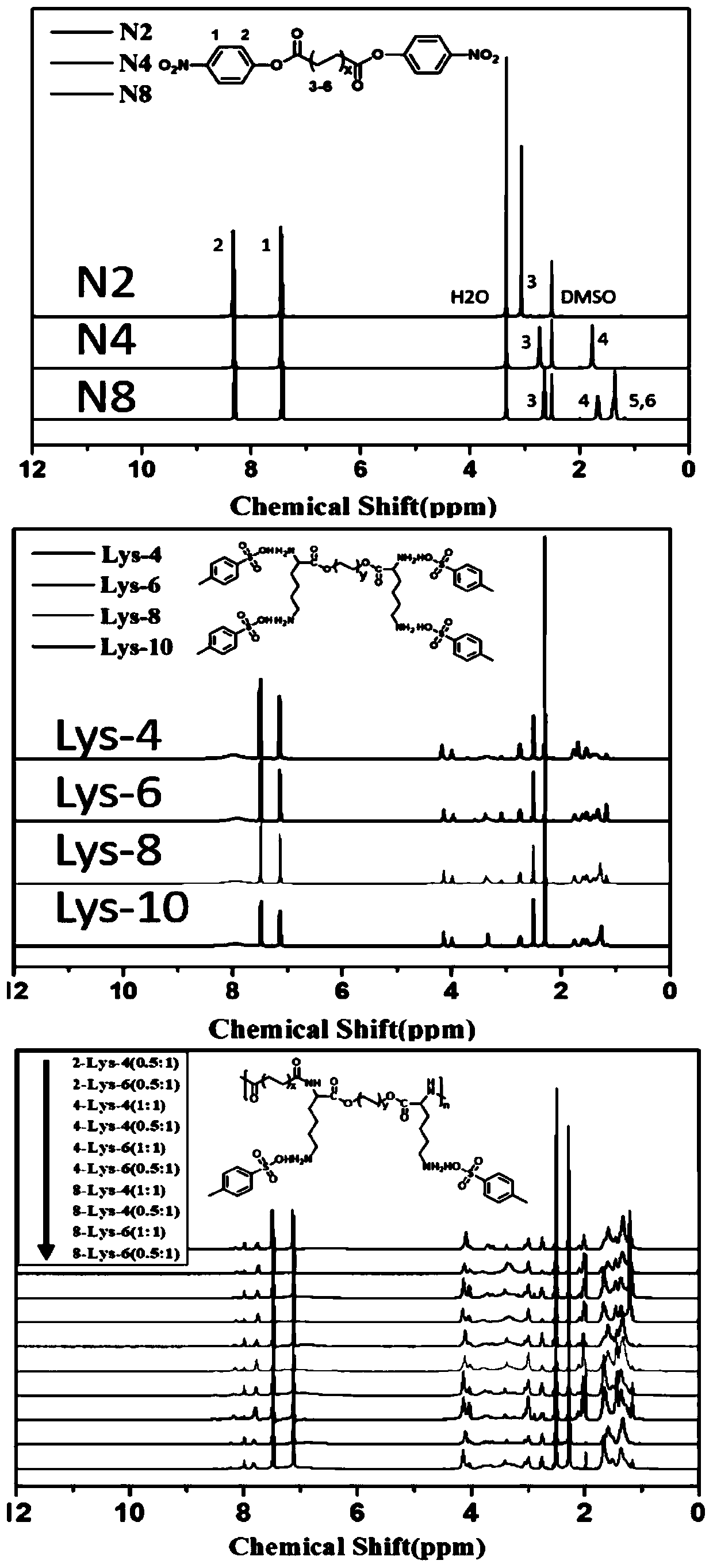 Lysine-based polyesteramide nano drug delivery system as well as preparation method and application thereof