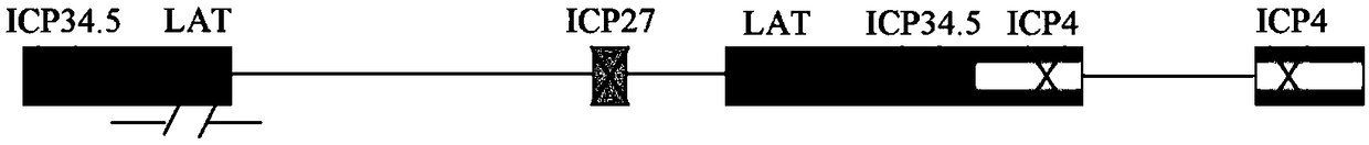 A dual-gene targeted therapy system for recurrent HSK