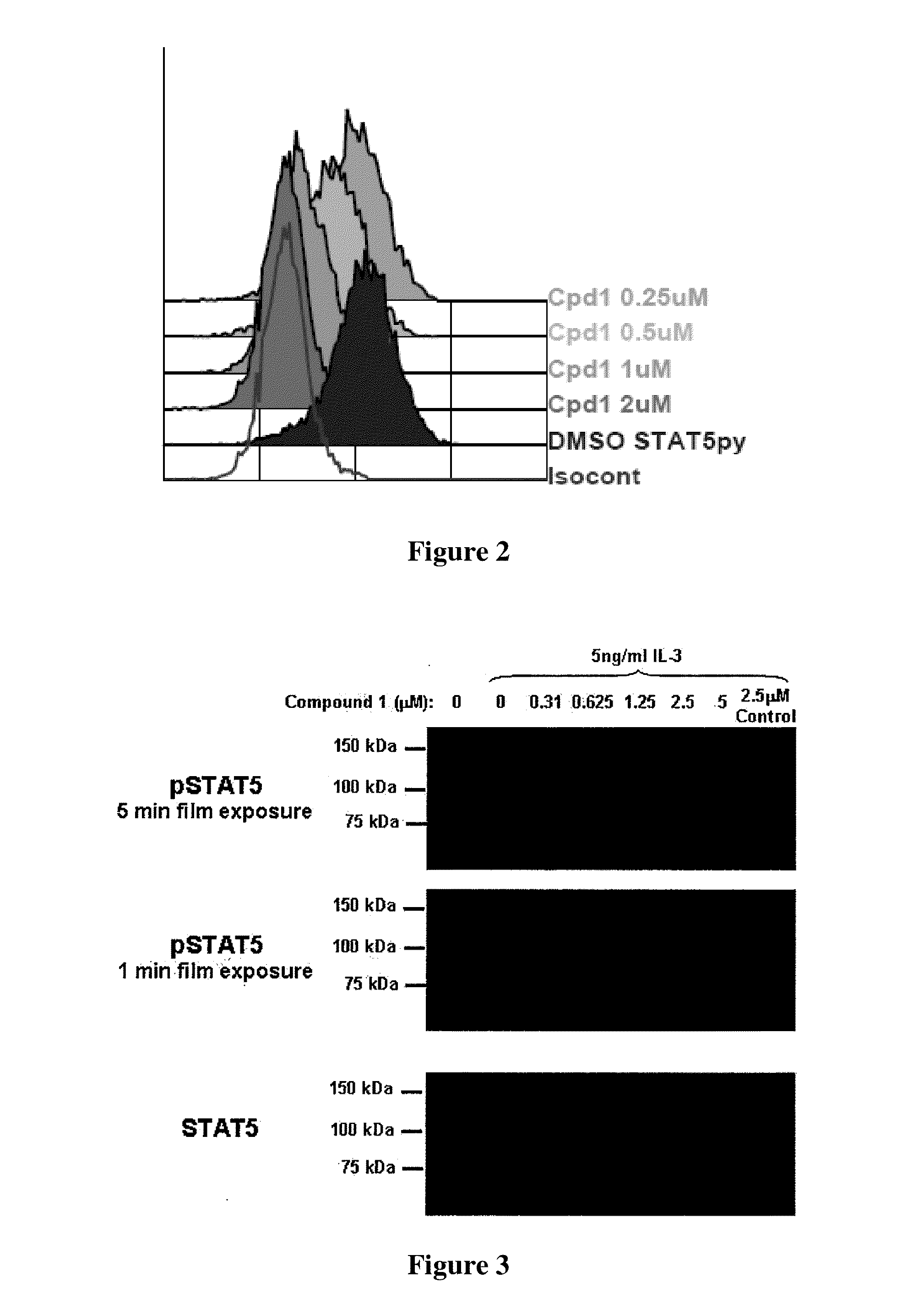 Phenyl amino pyrimidine compounds and uses thereof