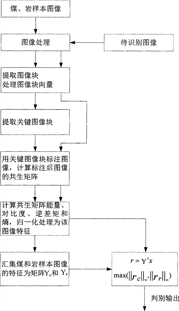 Method for recognizing coal and rock on basis of co-occurrence features of image blocks