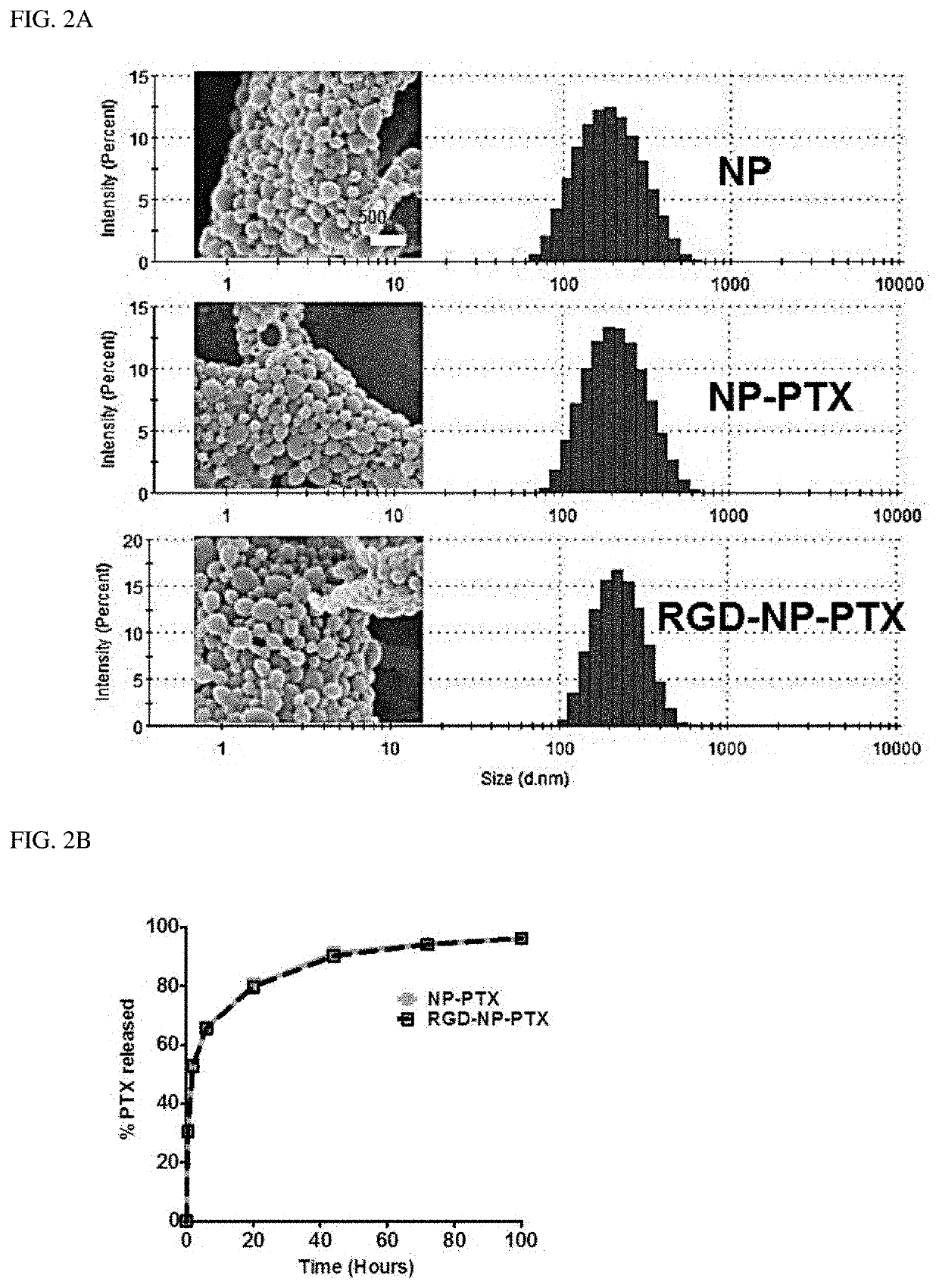 Intranasal pharmaceutical composition comprising anticancer drugcontaining nanoparticles for treating brain diseases