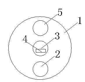 Signal guidance lighting device having timing function