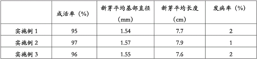 Cultivation method for resisting dry rot diseases of apples