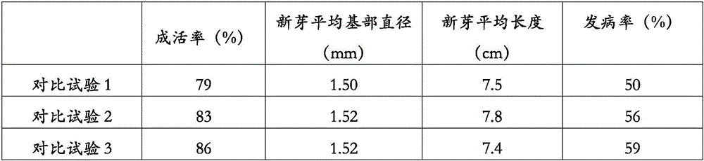 Cultivation method for resisting dry rot diseases of apples