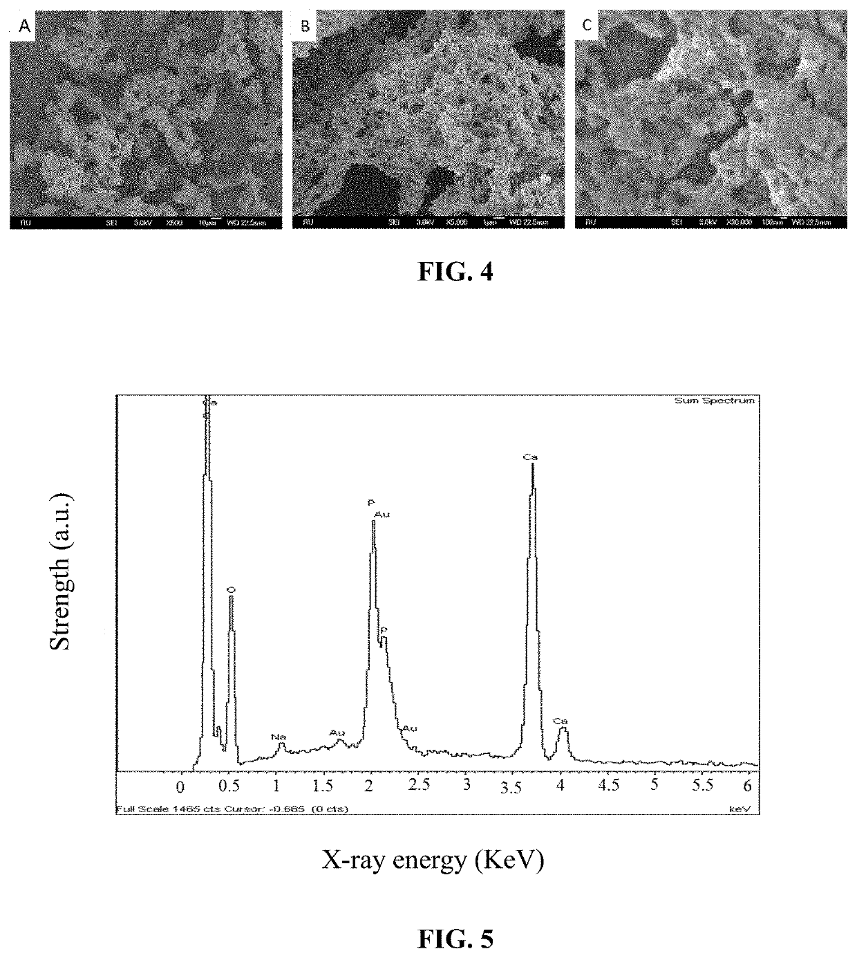 Method for preparing inorganic nanoparticle-gelatin core-shell composite particles