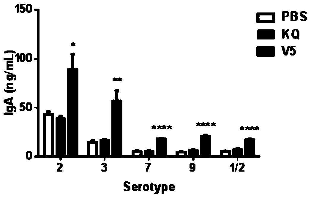 A broad-spectrum multiple subunit vaccine against Streptococcus suis infection