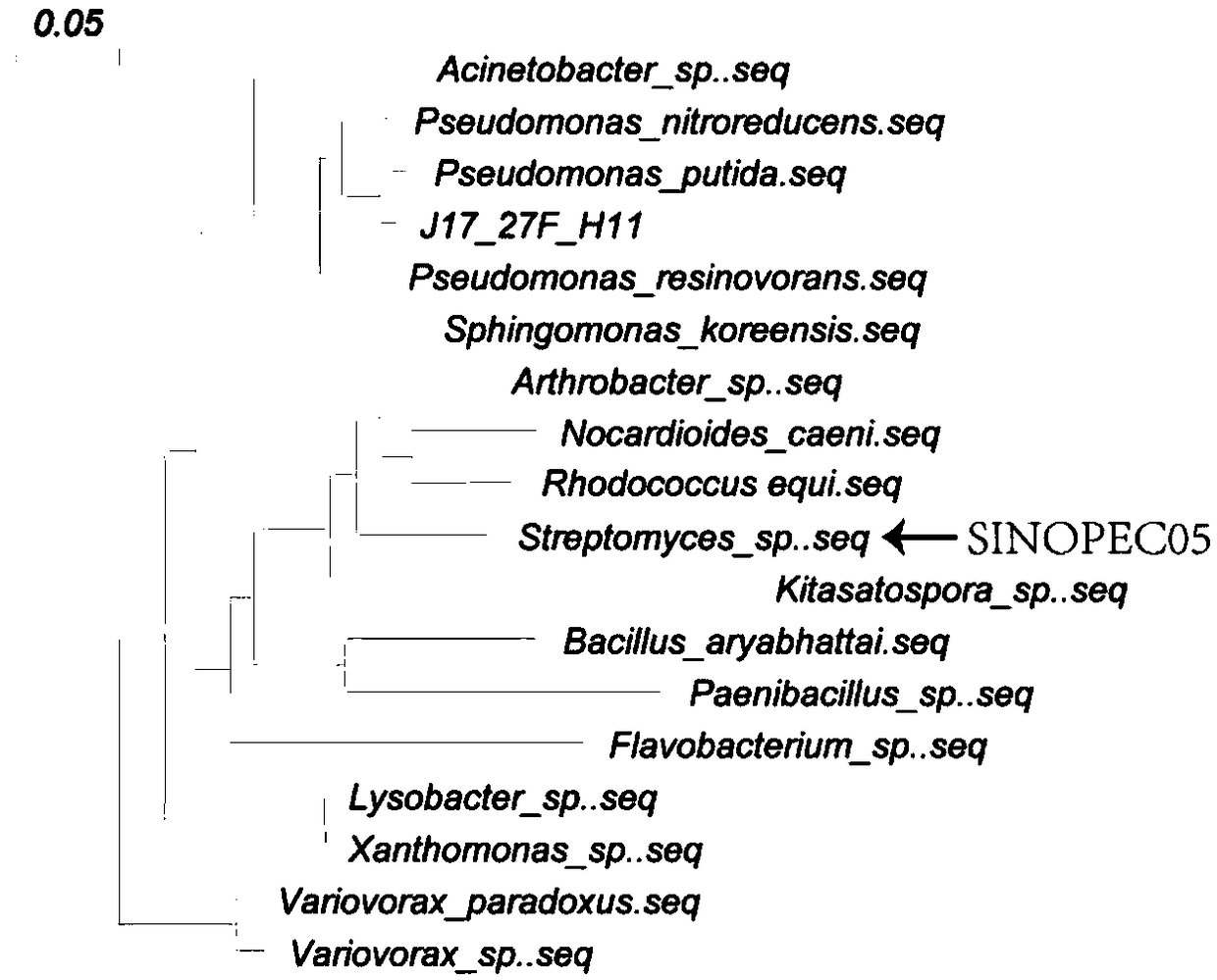 Rhodococcus equi strain and identifying method and application thereof