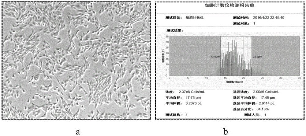 Efficient whole-genome chromosome conformation capture technology (eHi-C)