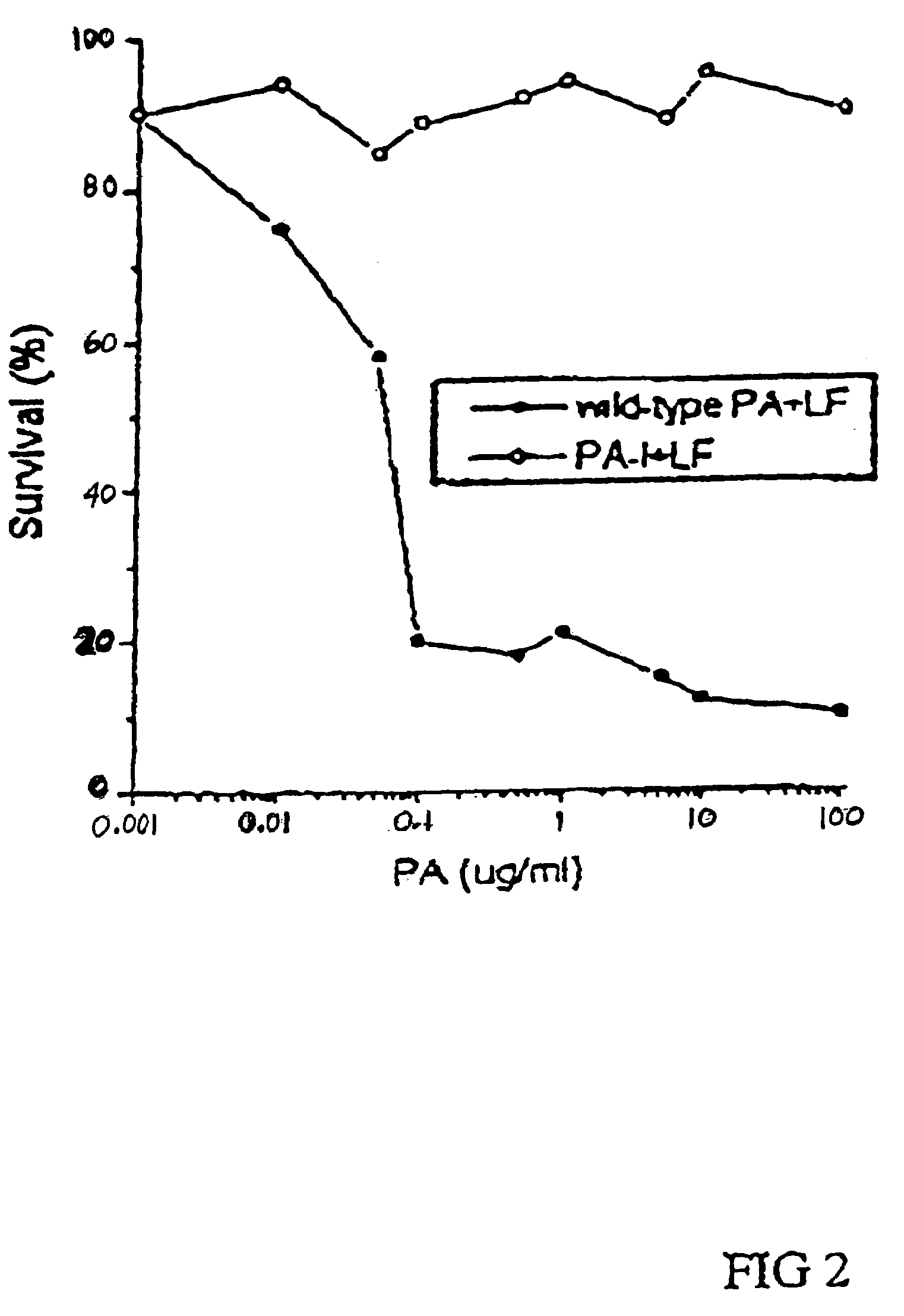 Protein molecule useful for inhibition of anthrax toxin