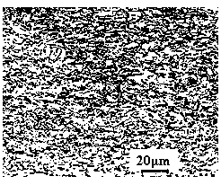 Holt-rolled bainite dual-phase steel with high reduction rate and high hole expansion rate and preparation method thereof