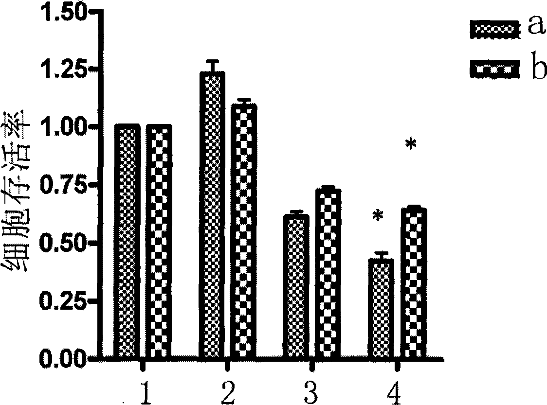 Pharmaceutical use of triptolide