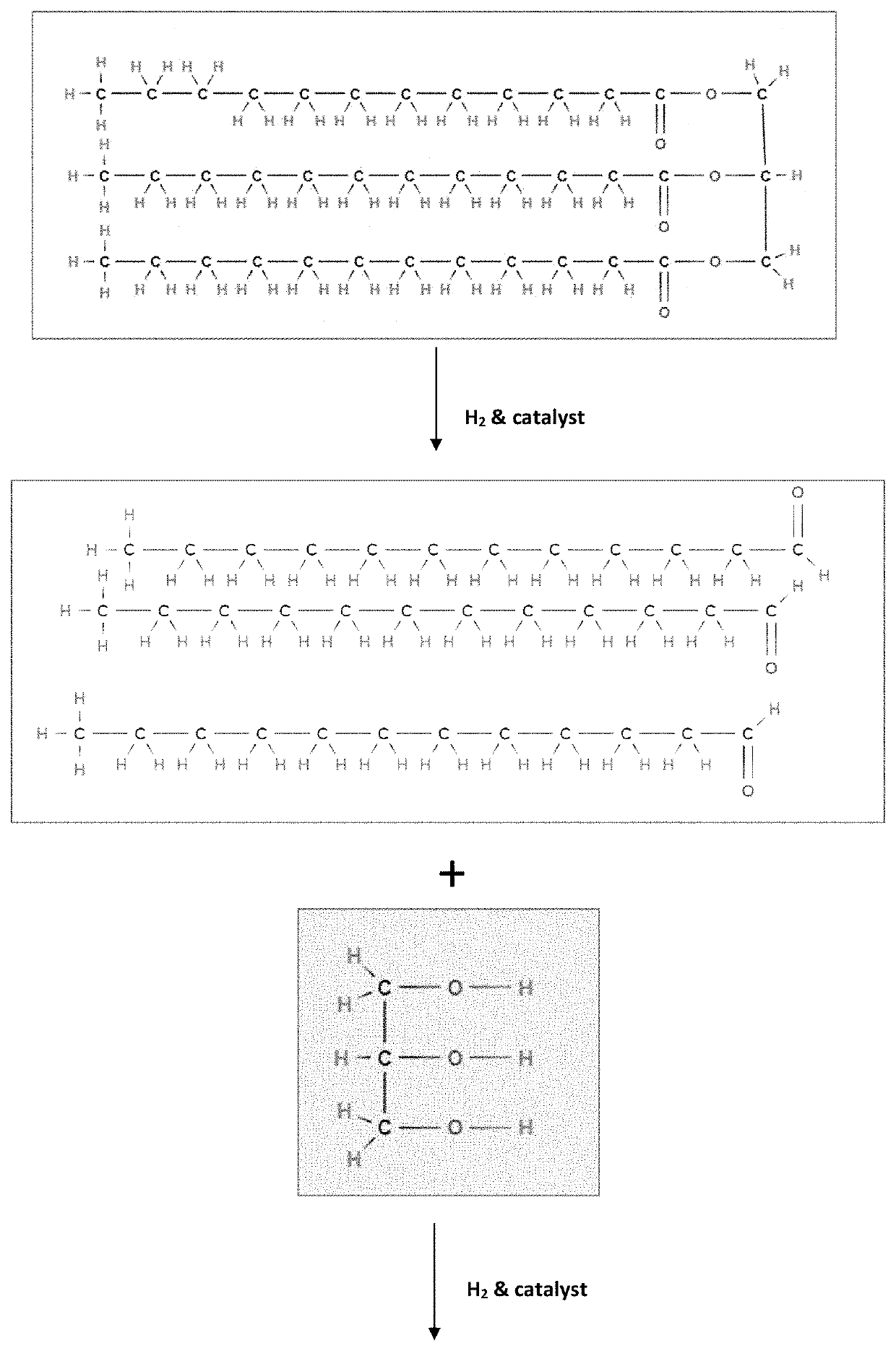 Production of Linear Alpha Olefins