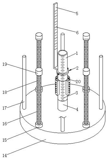 In-situ culture method for content of ammonium nitrogen and nitrate nitrogen in soil in pinus massoniana forest