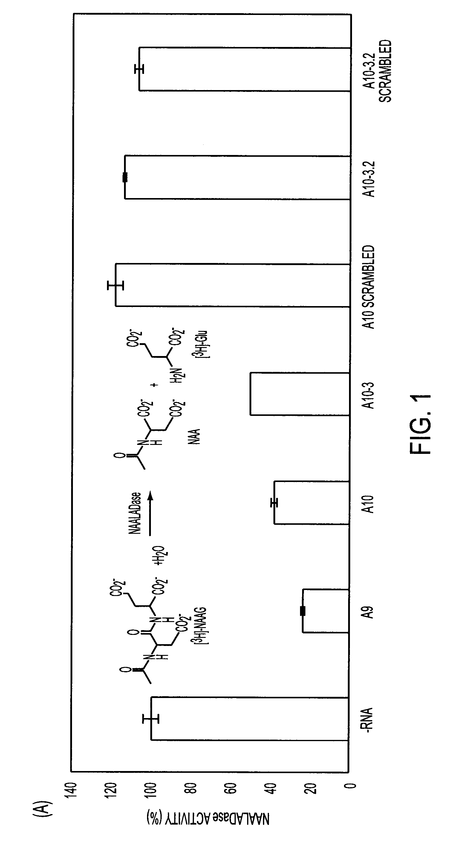 Nucleic acid aptamers