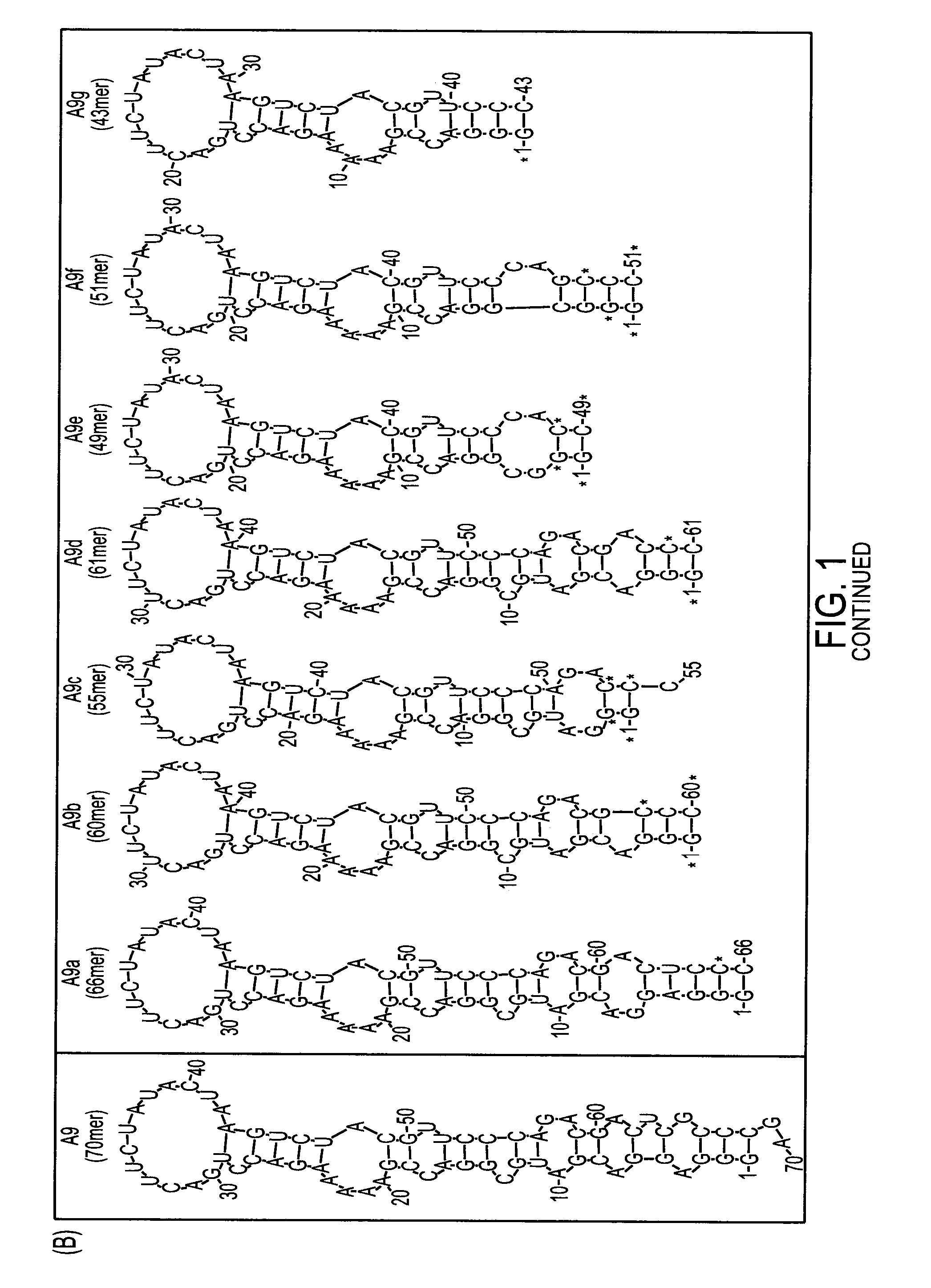 Nucleic acid aptamers