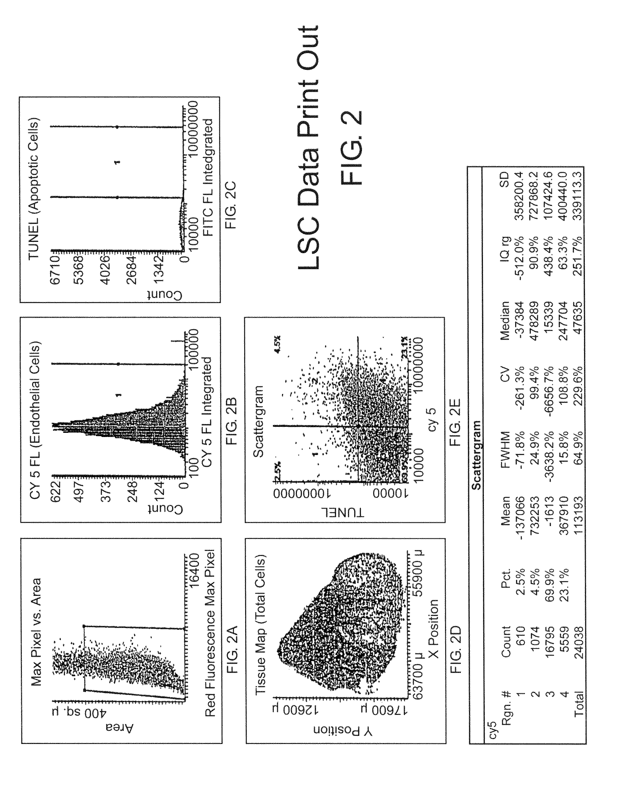 Laser scanning cytometry mediated analysis of therapeutic efficacy in tumors