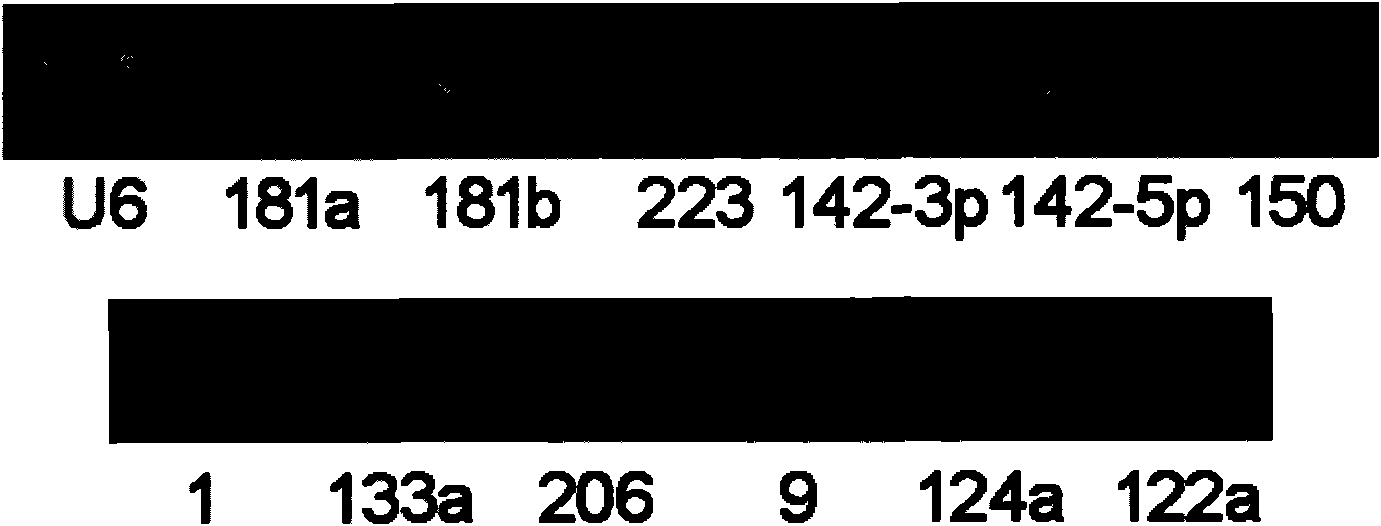 Pancreatic cancer marker, and detection method, kit and biochip thereof