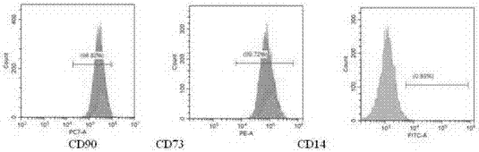 Dental pulp stem cell resuscitation fluid and dental pulp stem cell resuscitation method