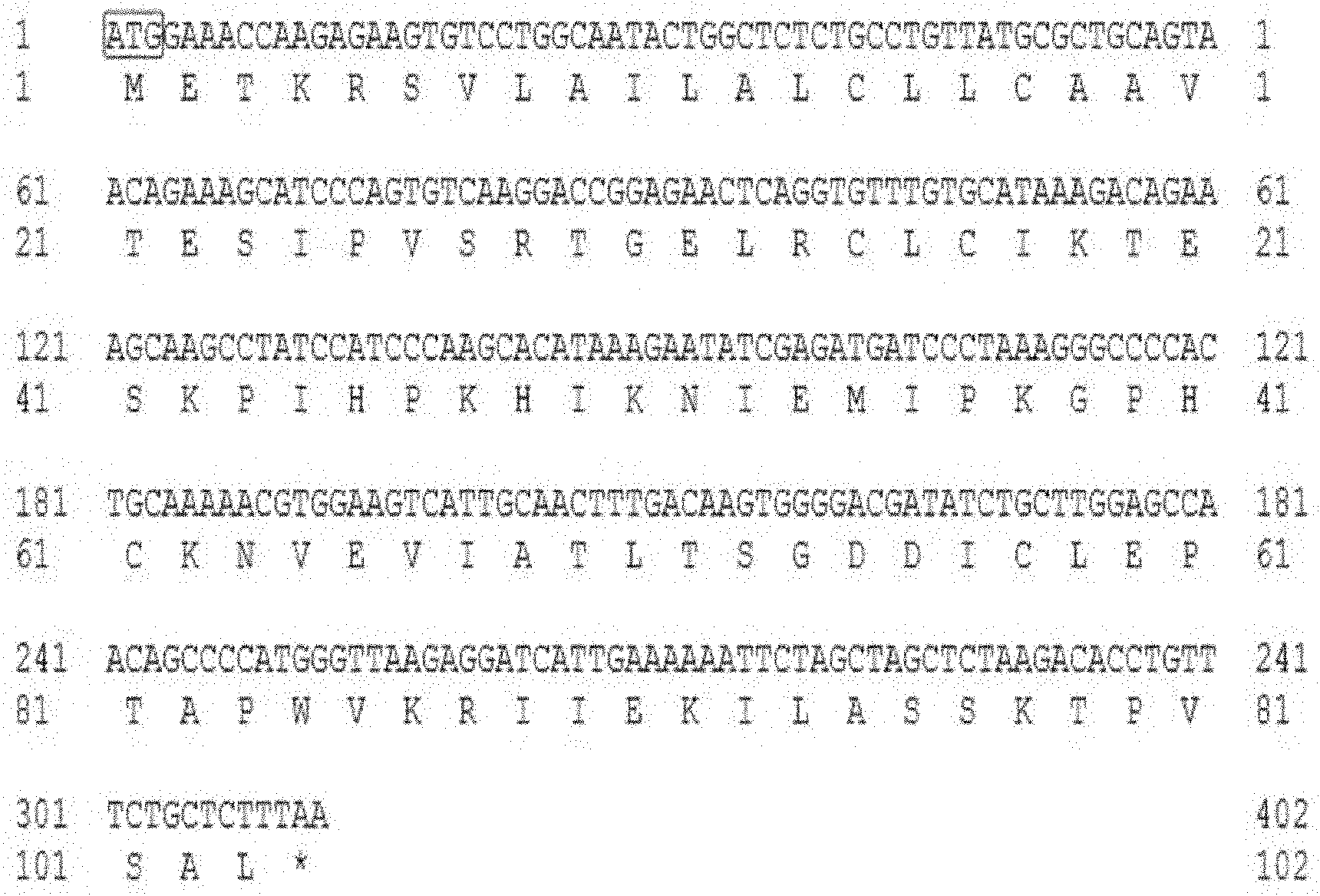 Xenopus tropicalis interleukin 8 cDNA, cloning method and recombination application thereof