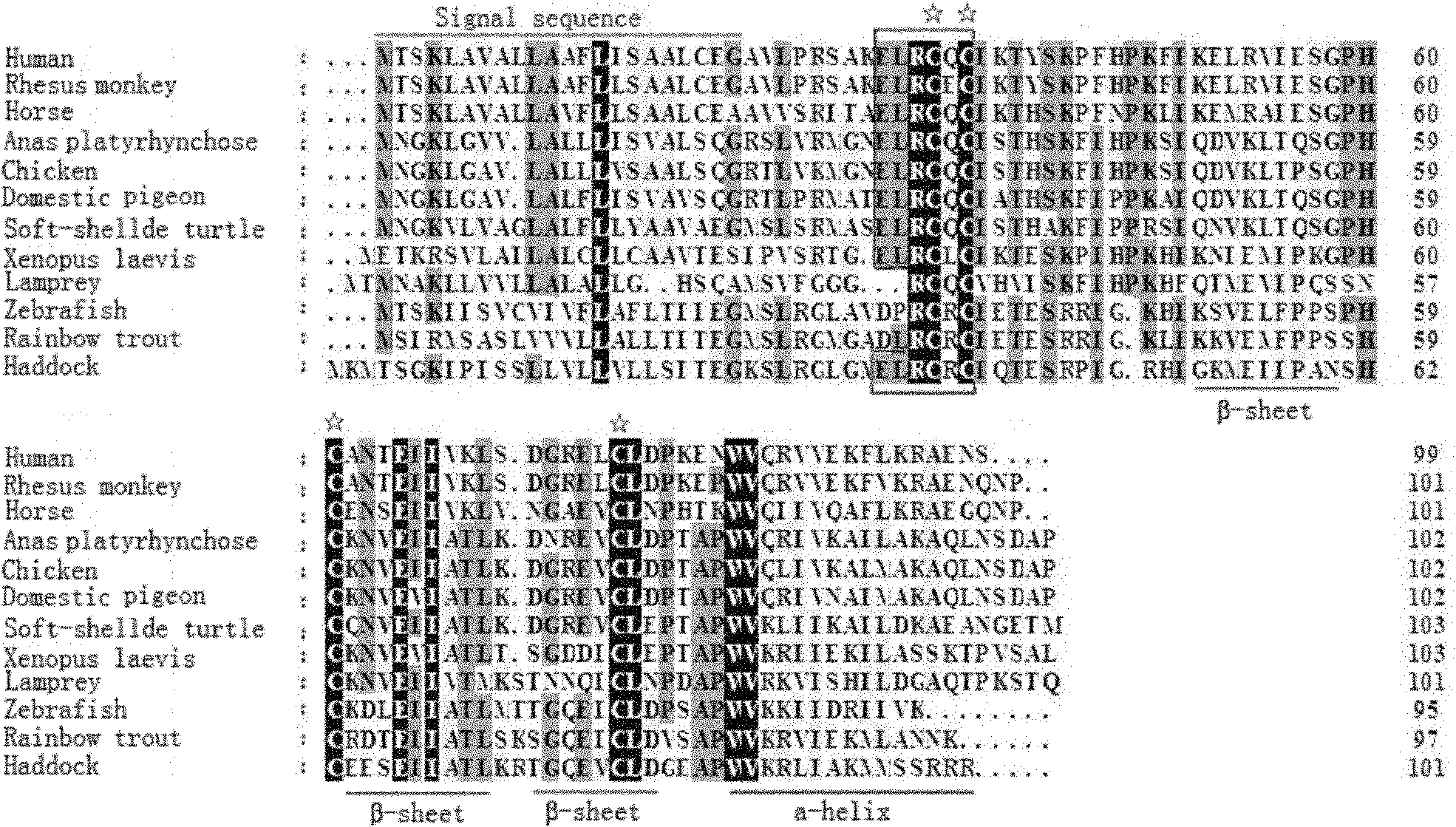 Xenopus tropicalis interleukin 8 cDNA, cloning method and recombination application thereof