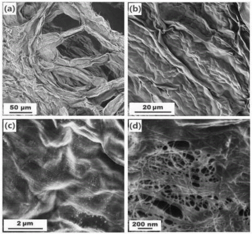 Preparation method for spirogyra-based biomass carbon material/nanometer sulfur composite material