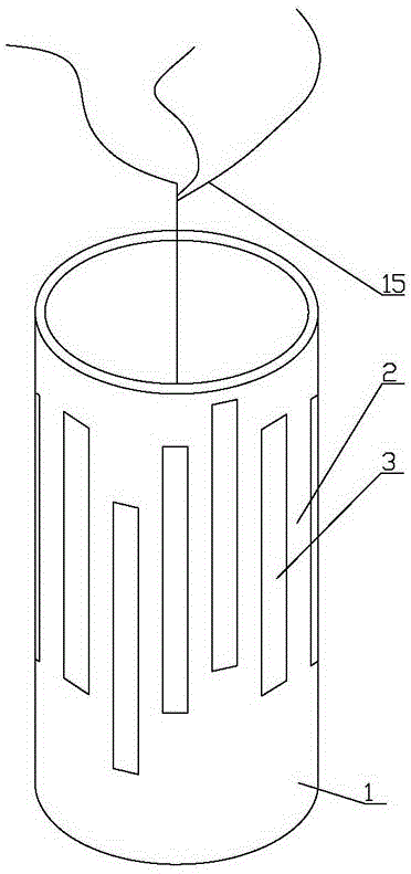 Windproof and sand-resisting desert plant protection device