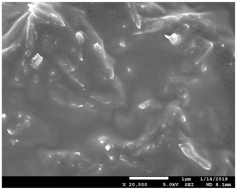 A kind of preparation method of mixed matrix flat film of mof particle modification nanotube filling silicone rubber