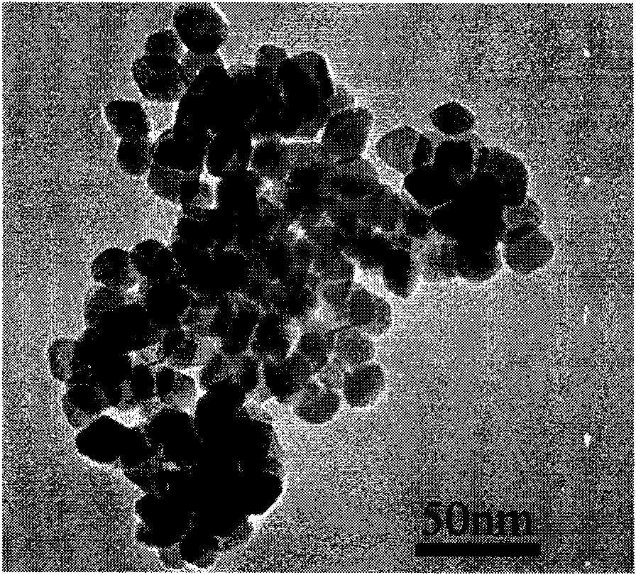 Preparation method of cadmium molybdate octahedron with controllable grain size