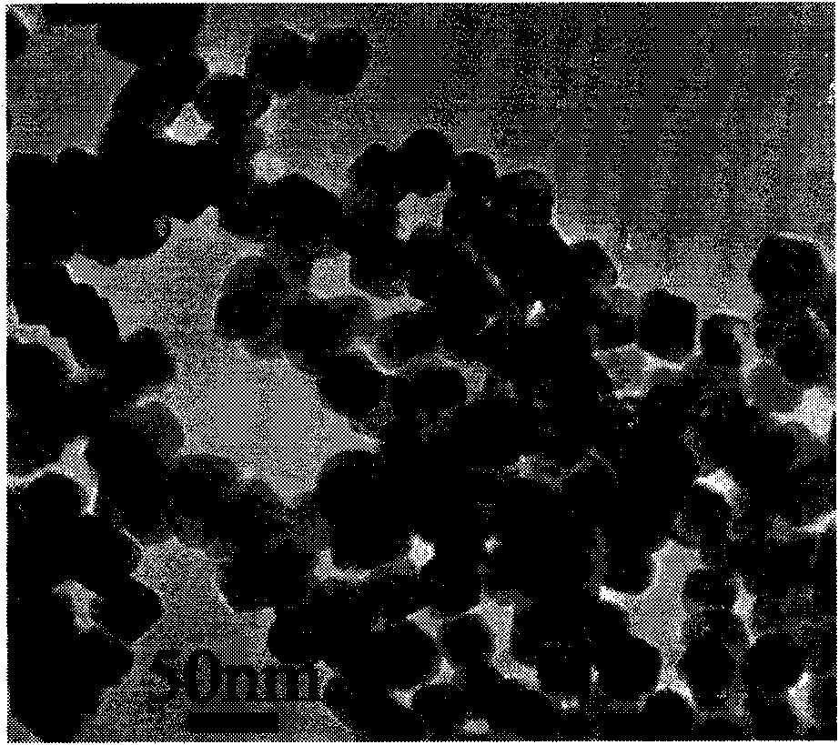 Preparation method of cadmium molybdate octahedron with controllable grain size