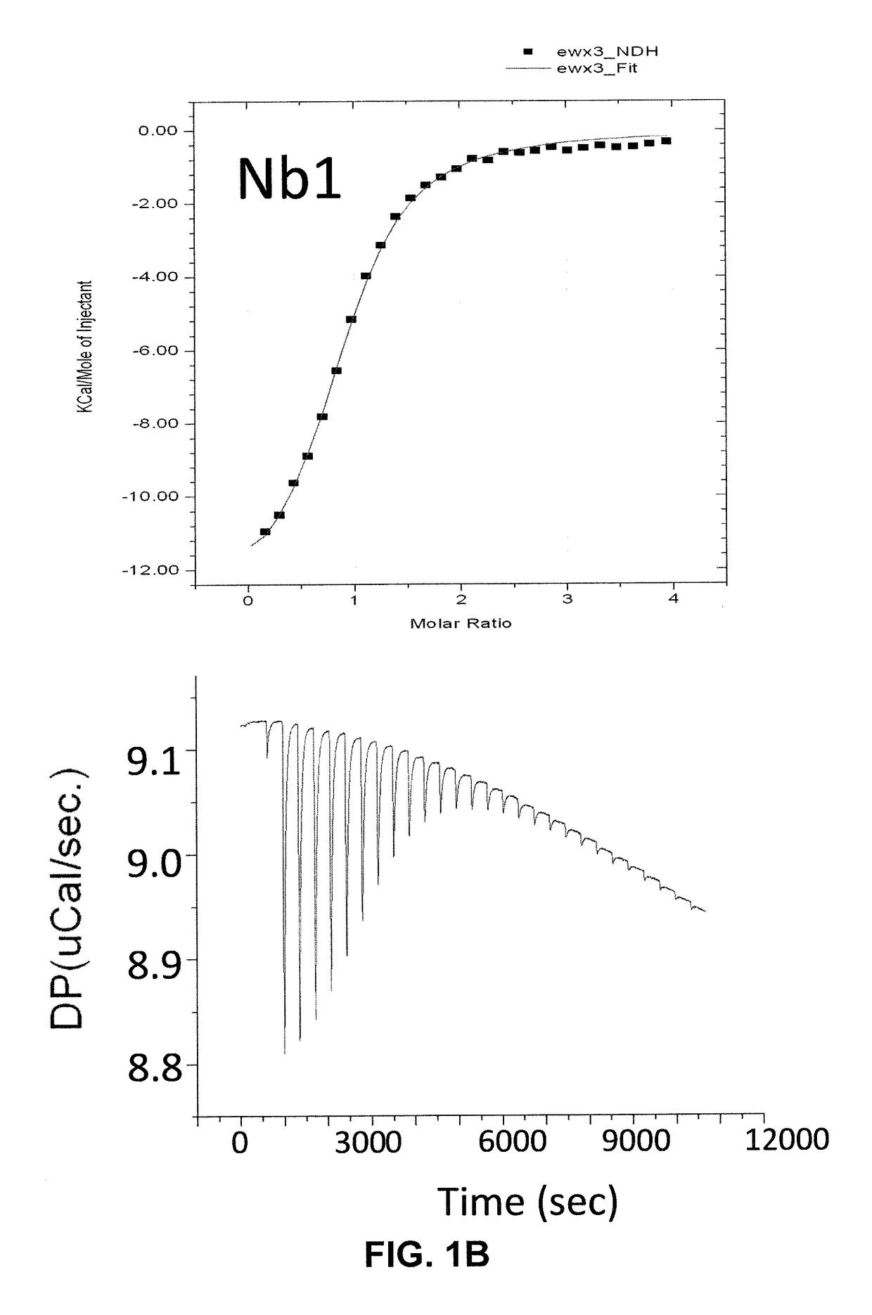 Single domain antibodies against SOD1 and their use in medicine