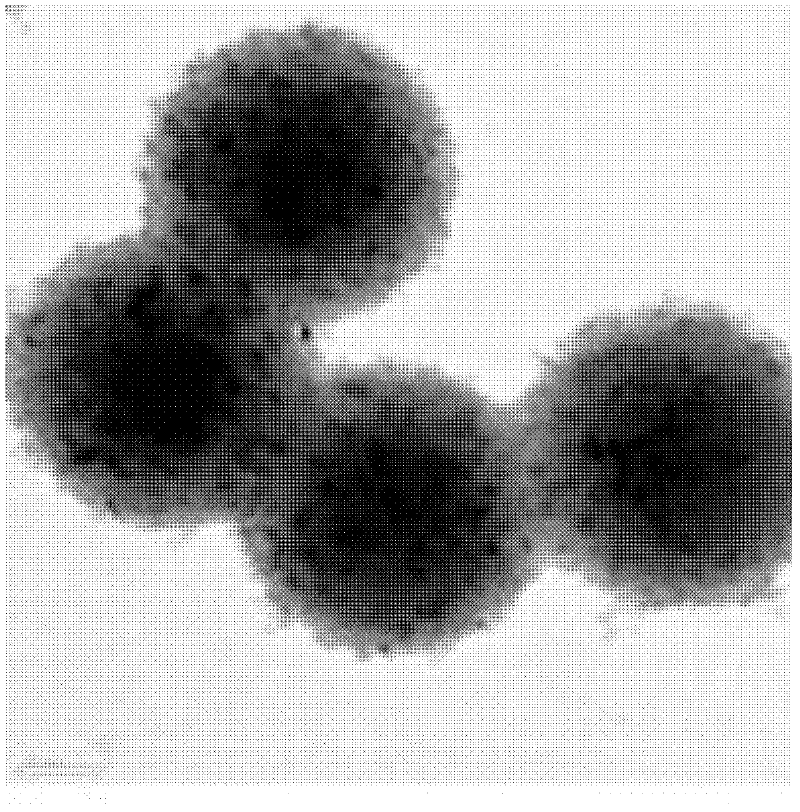 Carbon nano-sphere/modified titanium dioxide nano-sol composite and preparation method thereof