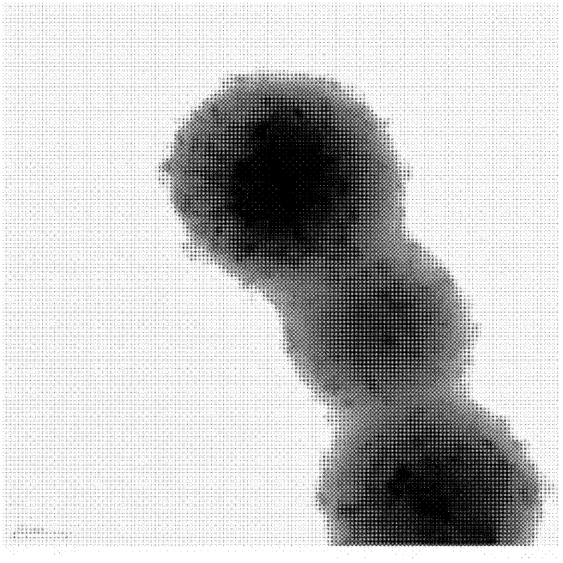 Carbon nano-sphere/modified titanium dioxide nano-sol composite and preparation method thereof